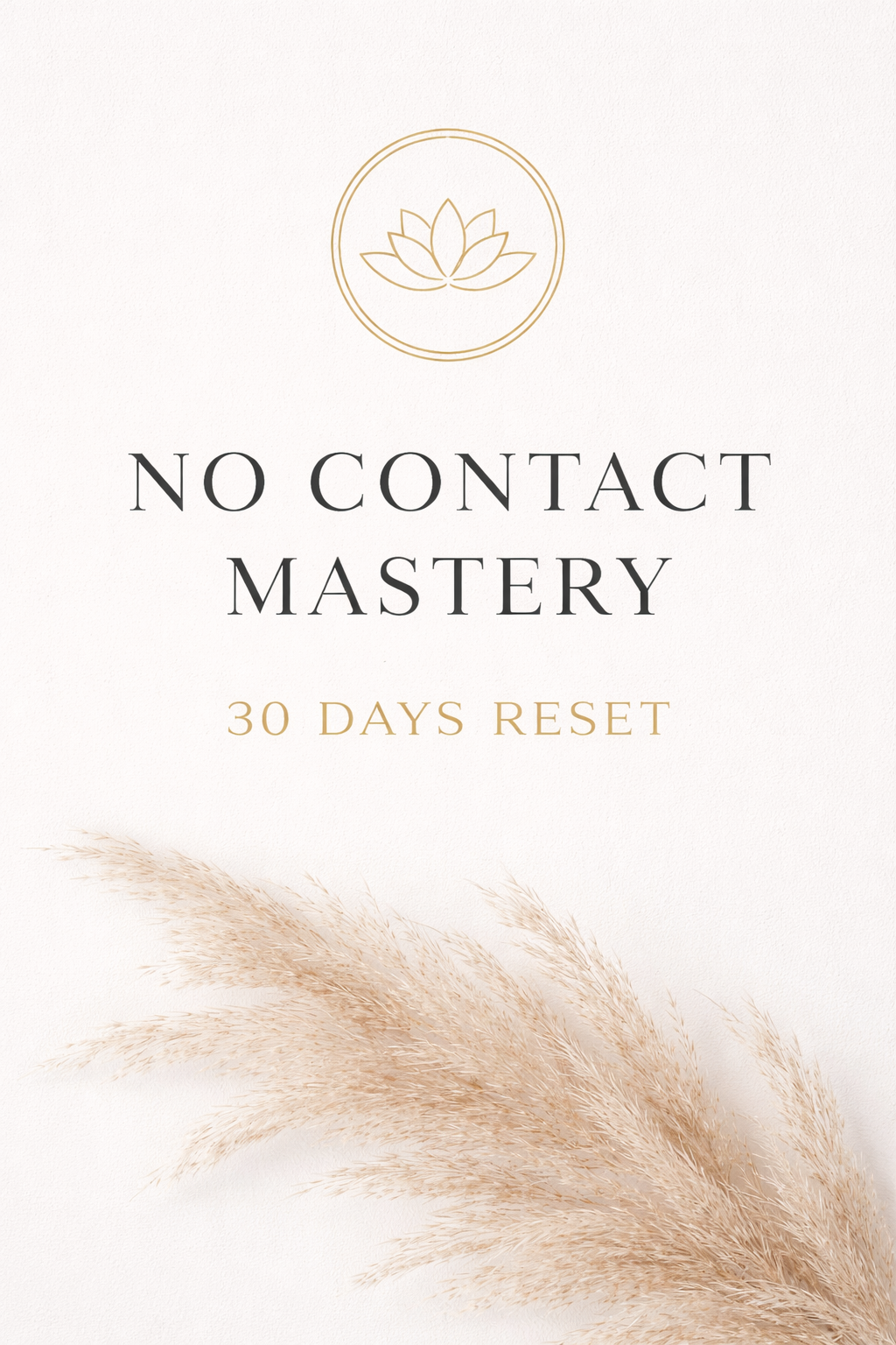 No contact mastery - 30 days reset